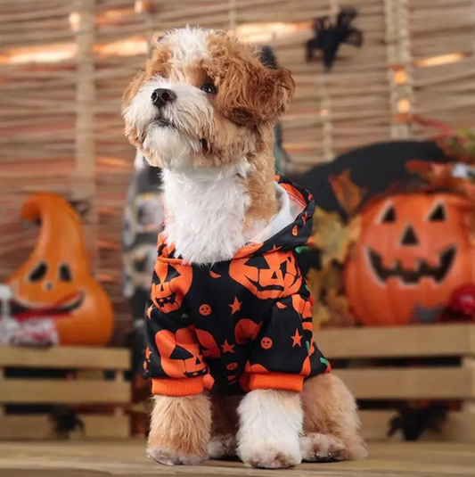 The Coziest Pumpkin Puppy Costume For Your Pup This Halloween